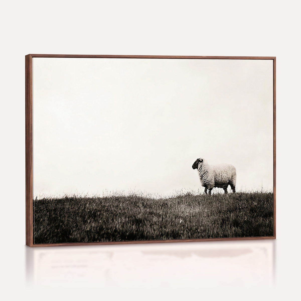 72749448-MGV-TP-30X20 - Minimalist Sepia Sheep Canvas Wall Art - Rustic Farmhouse Country Landscape Print