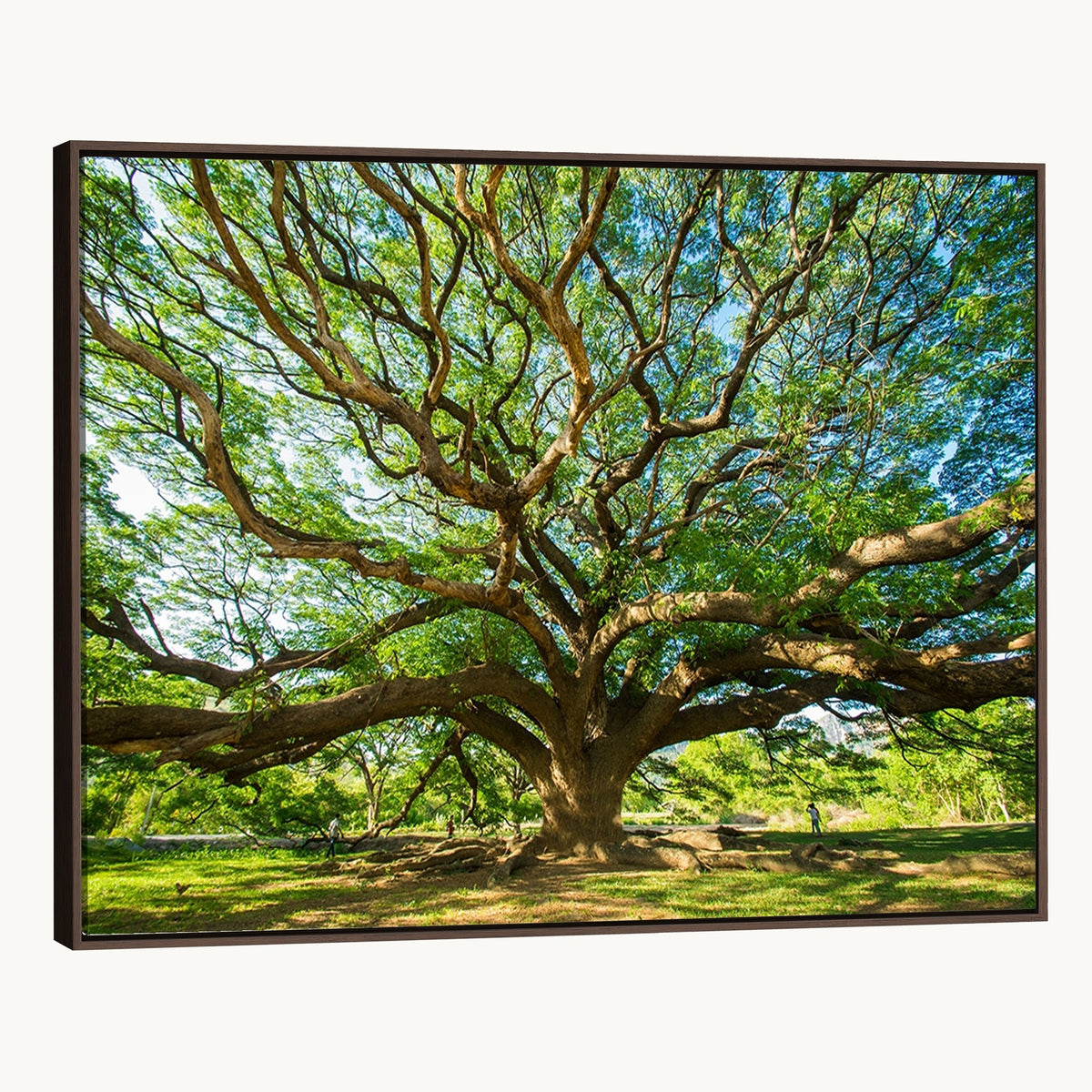 70569-MGV-CV-24X16 - Majestic Oak Tree Wall Art | Serene Nature Canvas Print with Spreading Branches