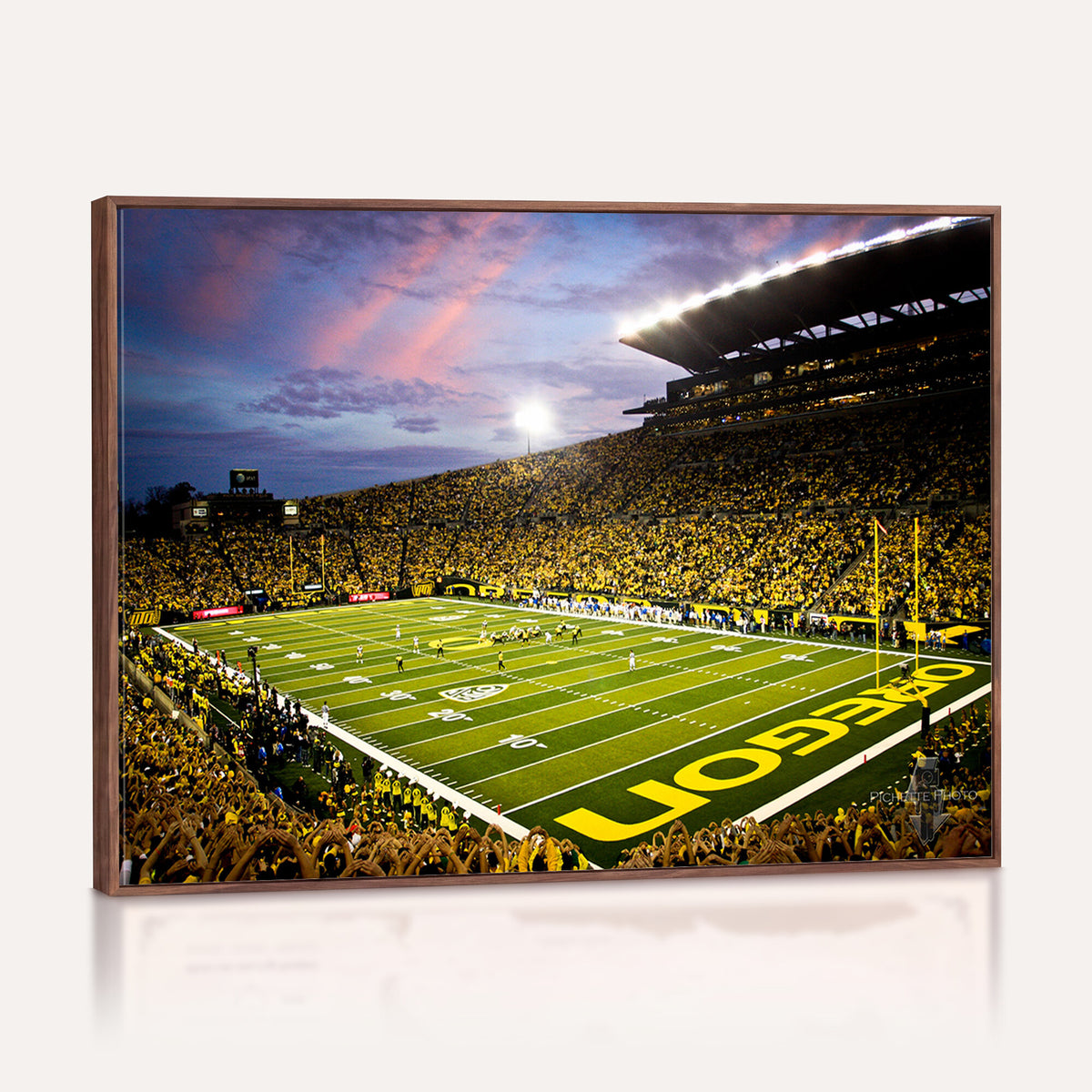 72017-MGV-CV-36X24 - University of Oregon Ducks Football Team Print, Eugene, Framed and Ready to Hang