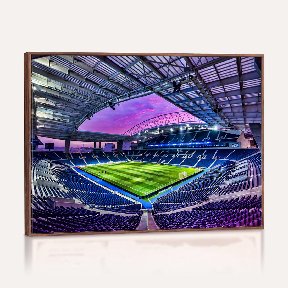 FC Porto Soccer Team Print Canvas, Dragon Stadium Wall Art