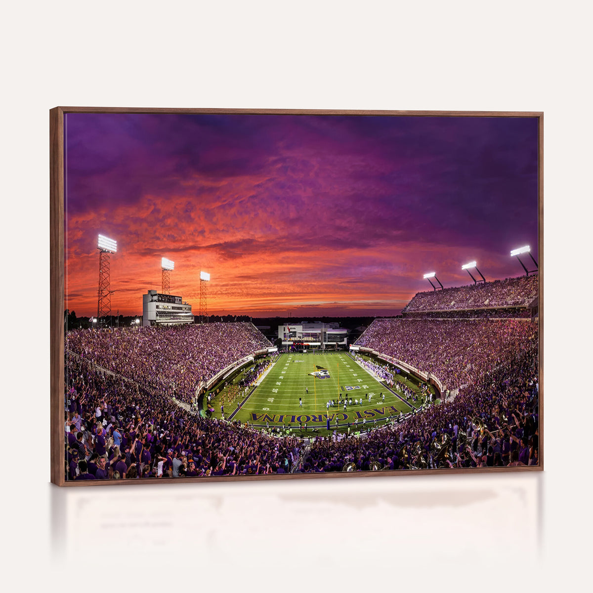 88575-MGV-CV-36X24 - East Carolina University Pirates Football Print Canvas- Greenville Dowdy-Ficklen Stadium Wall Art