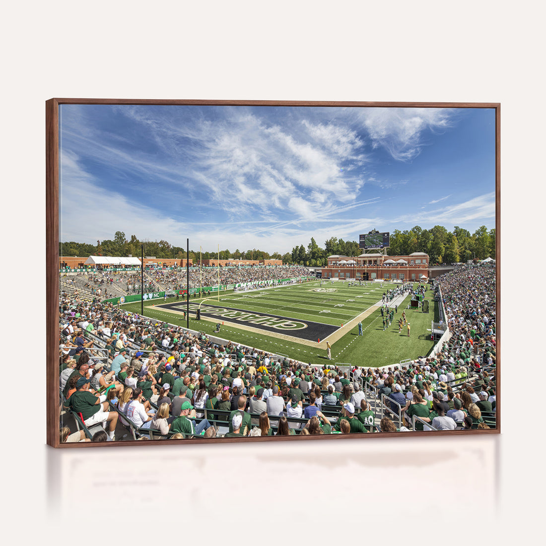 University of Charlotte 49ers Football Team Print, Framed and Ready to Hang