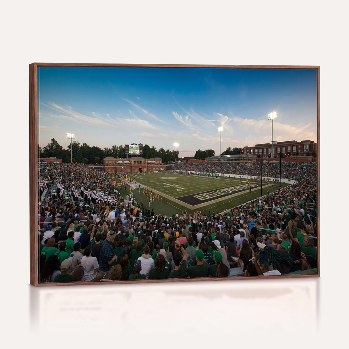 12290-MGV-CV-36X24 - University of Charlotte 49ers Football Team Print - Charlotte Jerry Richardson Stadium Wall Art