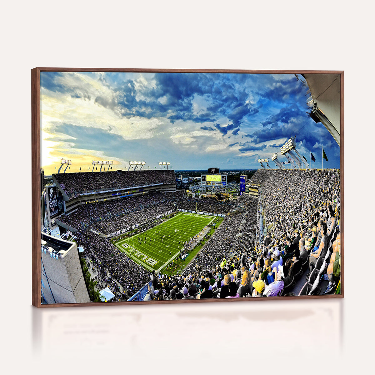 23788-MGV-CV-36X24 - Framed USF Bulls Football Team Print - Tampa Raymond James Stadium Wall Art Canvas Print