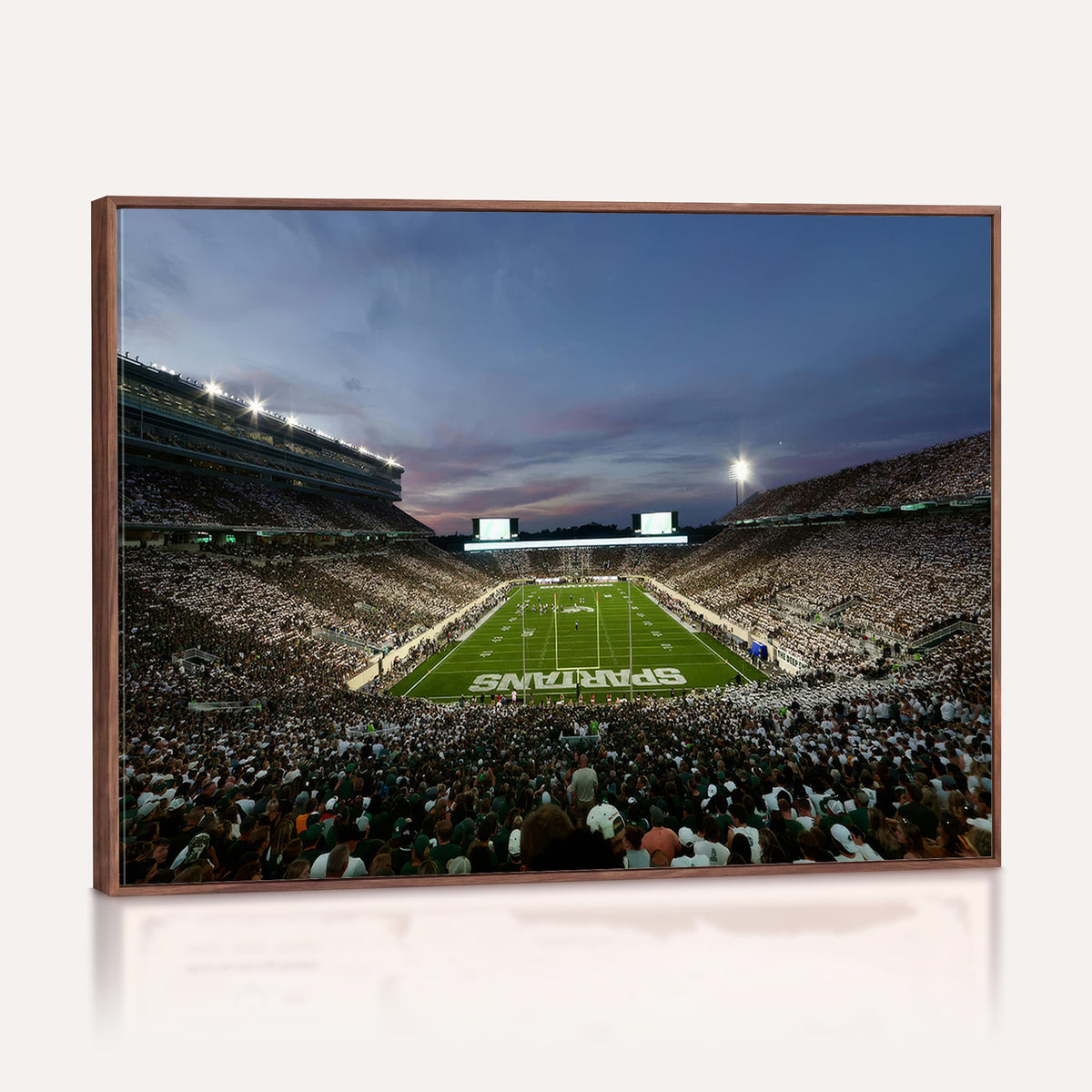 90831-PAN-FL-20X10 - Michigan State Spartans Football Team Print - East Lansing Spartan Stadium Canvas Print