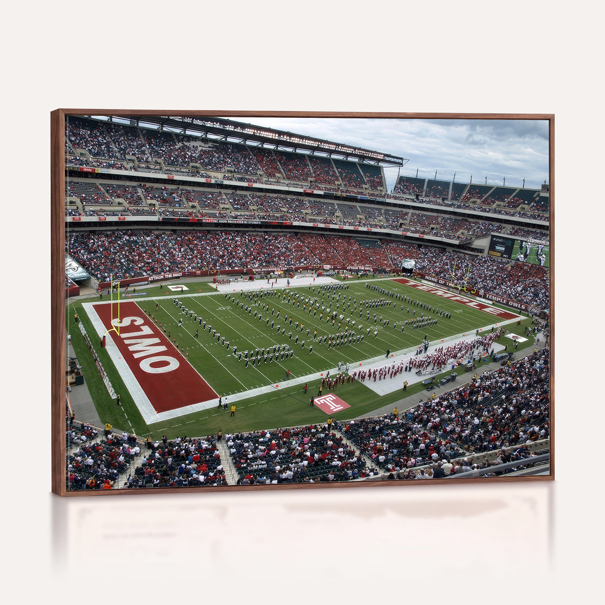 15310-PAN-FL-20X10 - The Temple University Owls Athletics Team Print - Philadelphia Lincoln Financial Field Stadium Wall