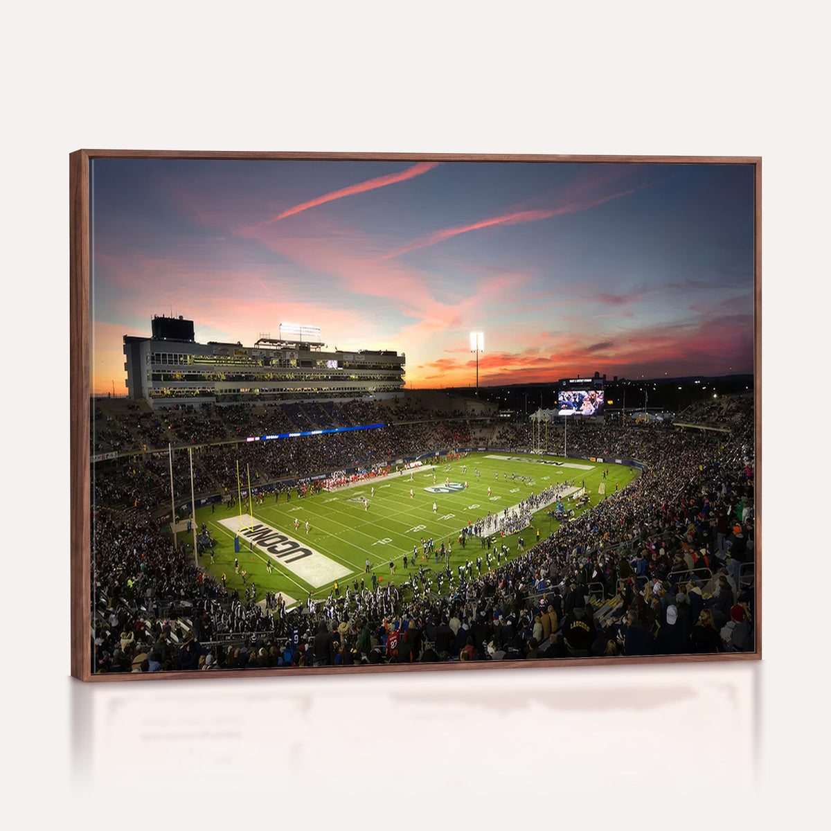 64416-MGV-CV-36X24 - The University of Connecticut UCONN Huskies Football Team Print, Framed and Ready to Hang