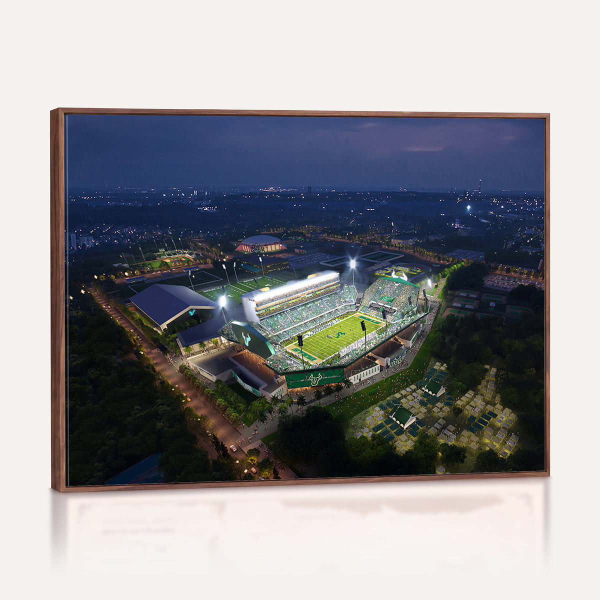 27554-MGV-CV-36X24 - The University of South Florida Bulls Football Team Print