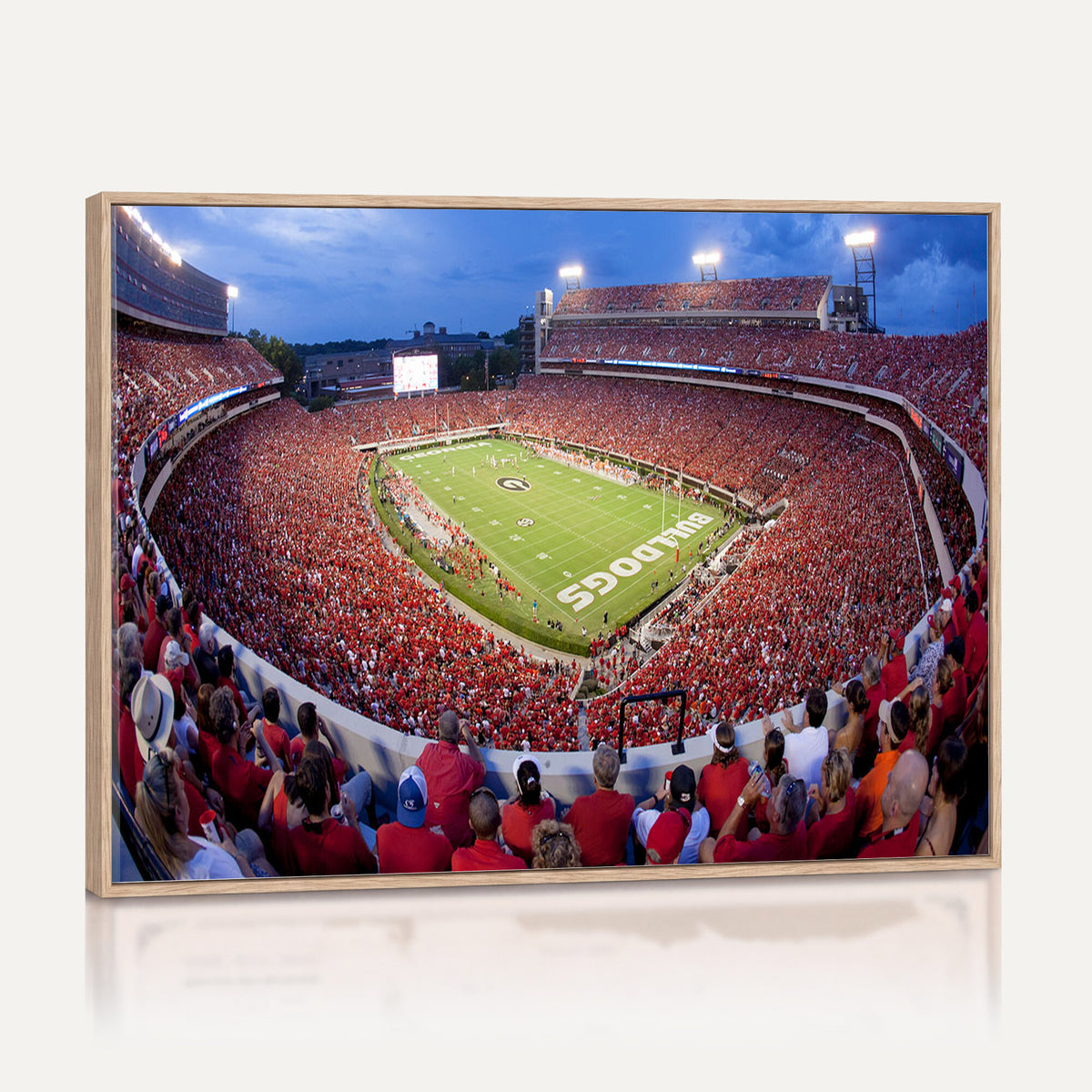 10244378-MGV-CV-36X24 - Dooley Stadium Wall Art, Sports Arena Canvas Print, Dooley Field, Home Bar Wall Decor