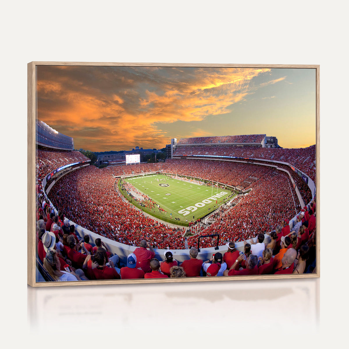 73680988-MGV-CV-36X24 - Dooley Stadium Wall Art, Sports Arena Canvas Print, Dooley Field, Framed and Ready to Hang