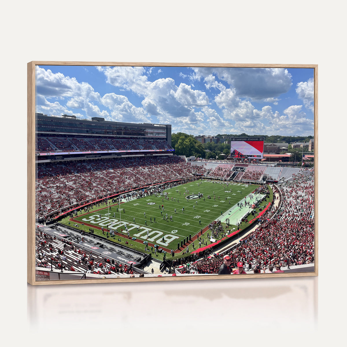 10665453-MGV-CV-36X24 - Georgia Bulldogs Stadium Wall Art Canvas Print, Sanford, Framed and Ready to Hang