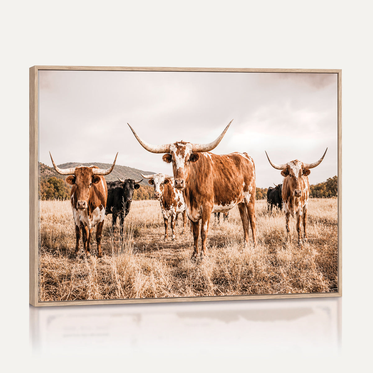 27539727-MGV-CV-36X24 - Texas Longhorn Cattle Wall Art Canvas Print, Sepia Western Decor