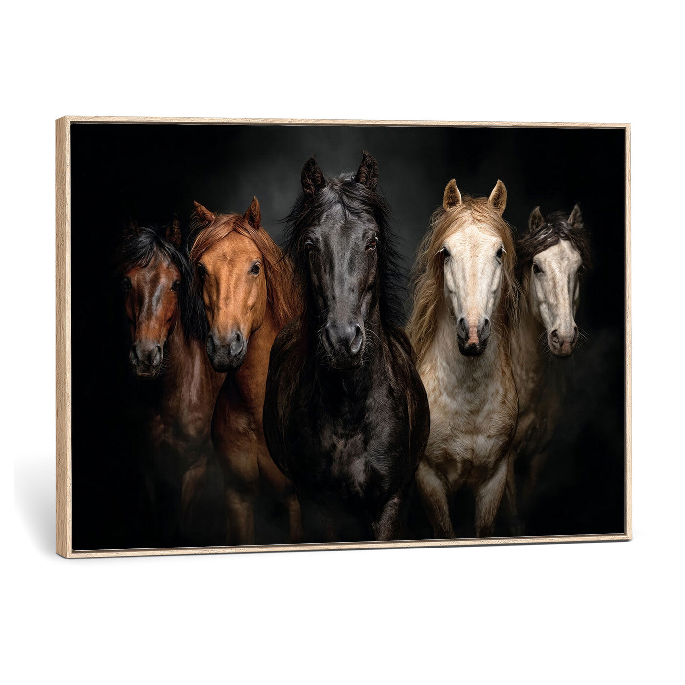 77696206-MGV-CV-36X24 - Horse Wall Art Canvas Print | Wild Horses Portrait Photography, Animal Horse Decor, Black Brown White Horse Herd