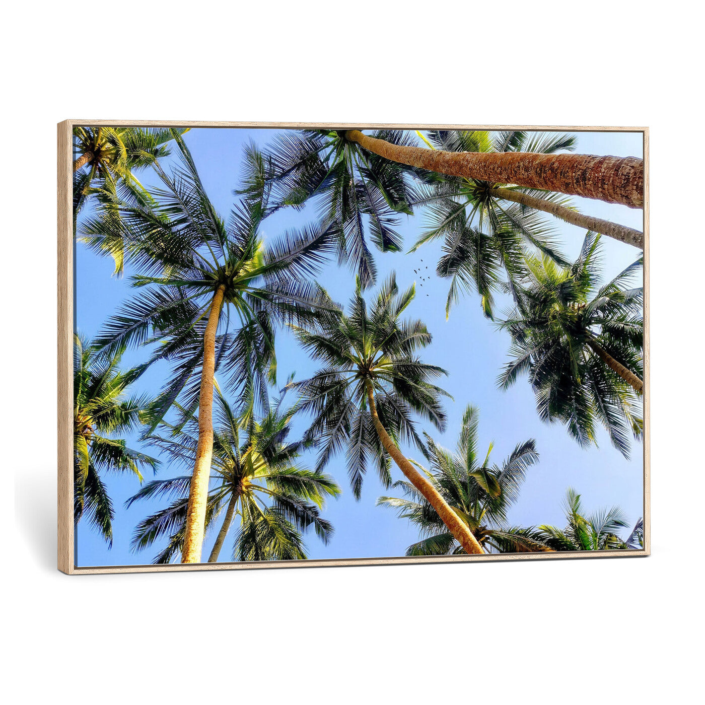 62263183-MGV-CV-36X24 - Wall Art Canvas Print