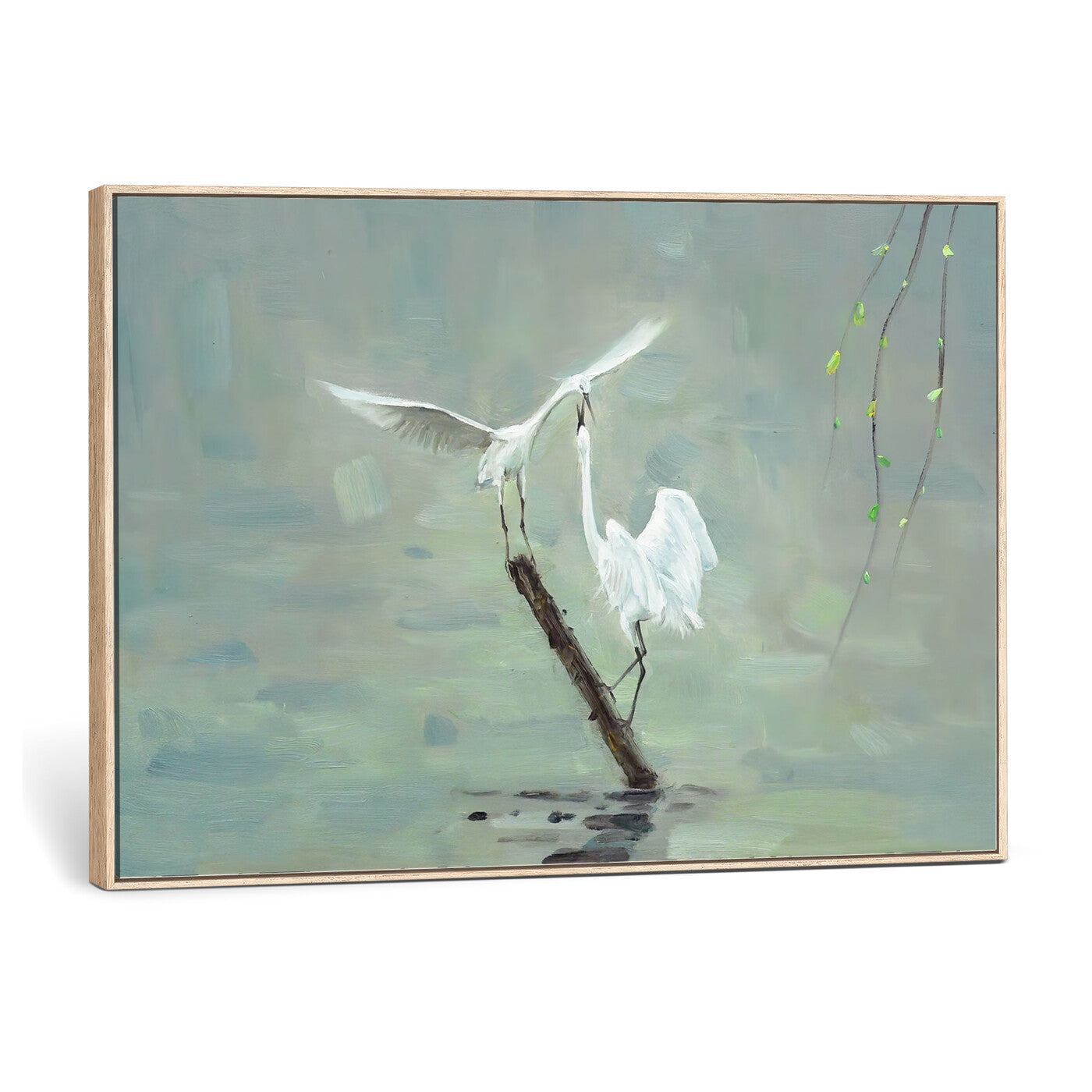 91124838-MGV-CV-36X24 - Two White Egrets on Marsh Branch Wall Art Canvas Print - Vintage Style Coastal Bird Poster
