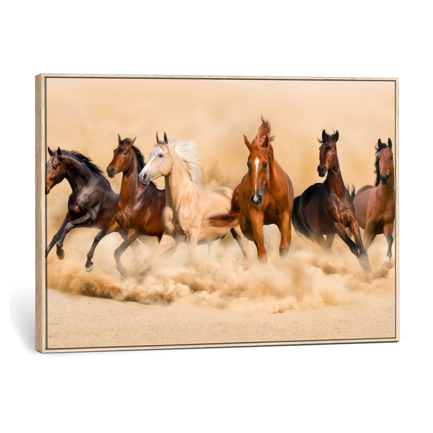 90610949-MGV-CV-36X24 - Herd of Six Wild Horses Galloping in Dust Storm Wall Art Canvas Print - Majestic Wildlife Decor