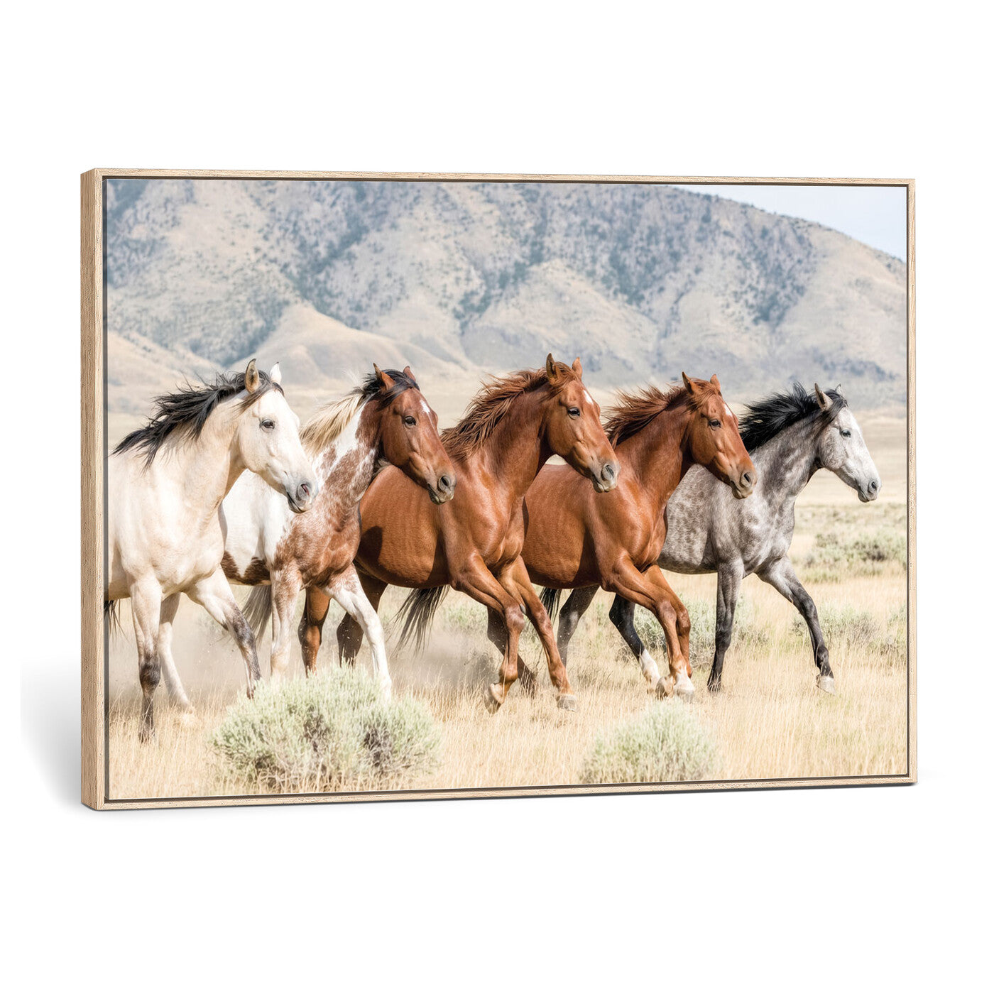 68345893-MGV-CV-36X24 - Five Mustangs Running Wild in Mountain Valley Wall Art Canvas Print - Rustic Western Decor