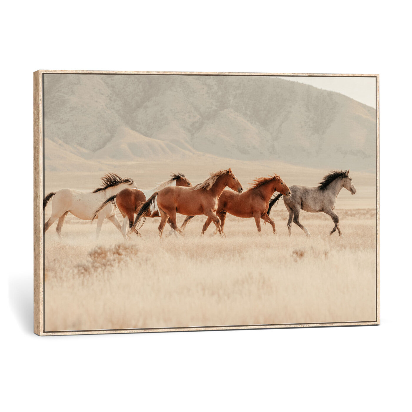 43348446-MGV-CV-36X24 - Herd of Wild Horses Running in Desert Mountain Wall Art Canvas Print - Boho Western Landscape