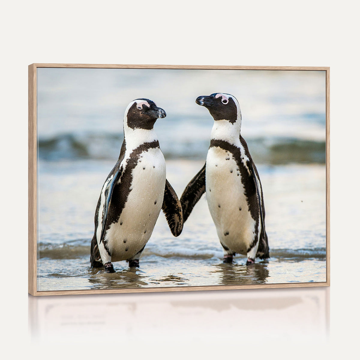 64870405-MGV-TP-30X20 - African Penguins Boulders Beach Wall Art Canvas Print, Cute Penguin Couple Photo Print