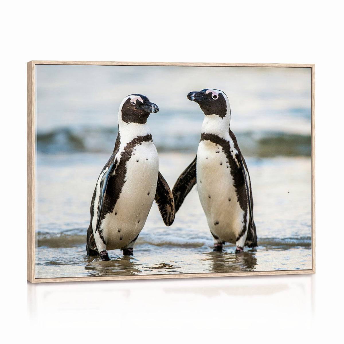 64870405-MGV-TP-30X20 - African Penguins Boulders Beach Wall Art Canvas Print, Cute Penguin Couple Photo Print