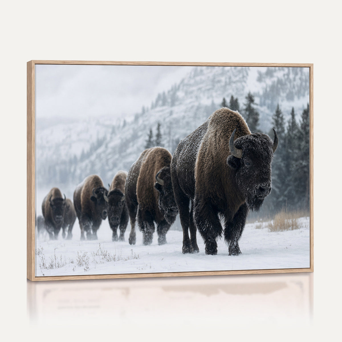 18343289-MGV-CV-36X24 - Rustic Bison Wall Art, American Buffalo Photo Print, Wildlife Canvas Artwork, Snowy Mountain Decor, Large Nature Poster, Cabin Gift Idea