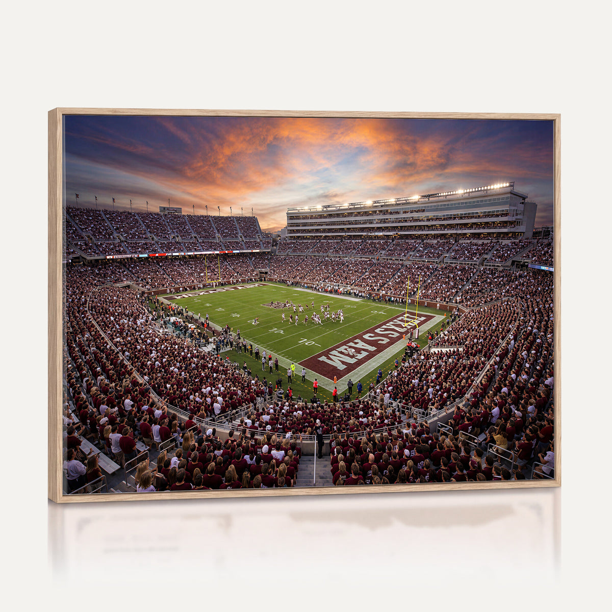 66624578-MGV-CV-36X24 - Stadium Wall Art Canvas Print