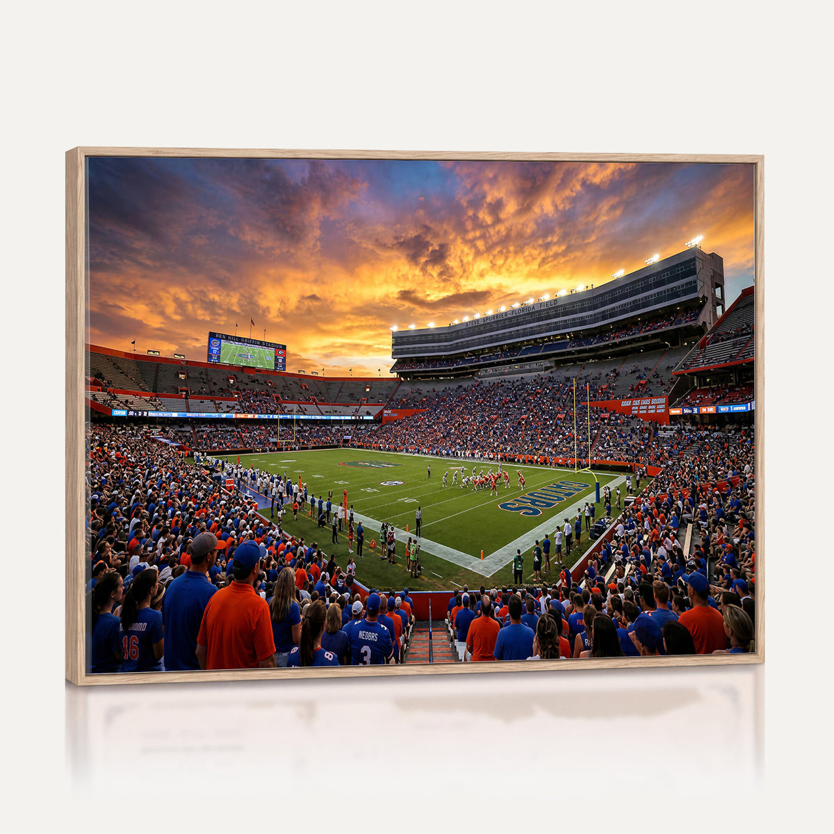 23829865-MGV-CV-36X24 - Stadium Wall Art Canvas Print