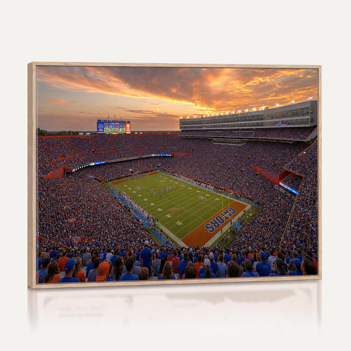 48009171-MGV-CV-36X24 - Stadium Wall Art Canvas Print