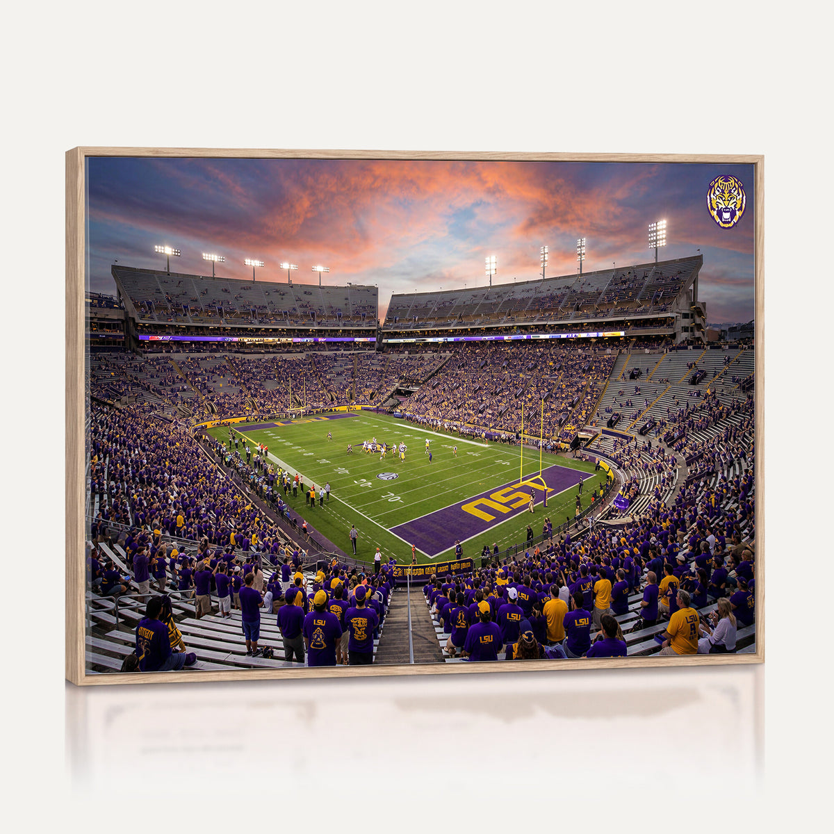 20281385-MGV-CV-36X24 - Stadium Wall Art Canvas Print
