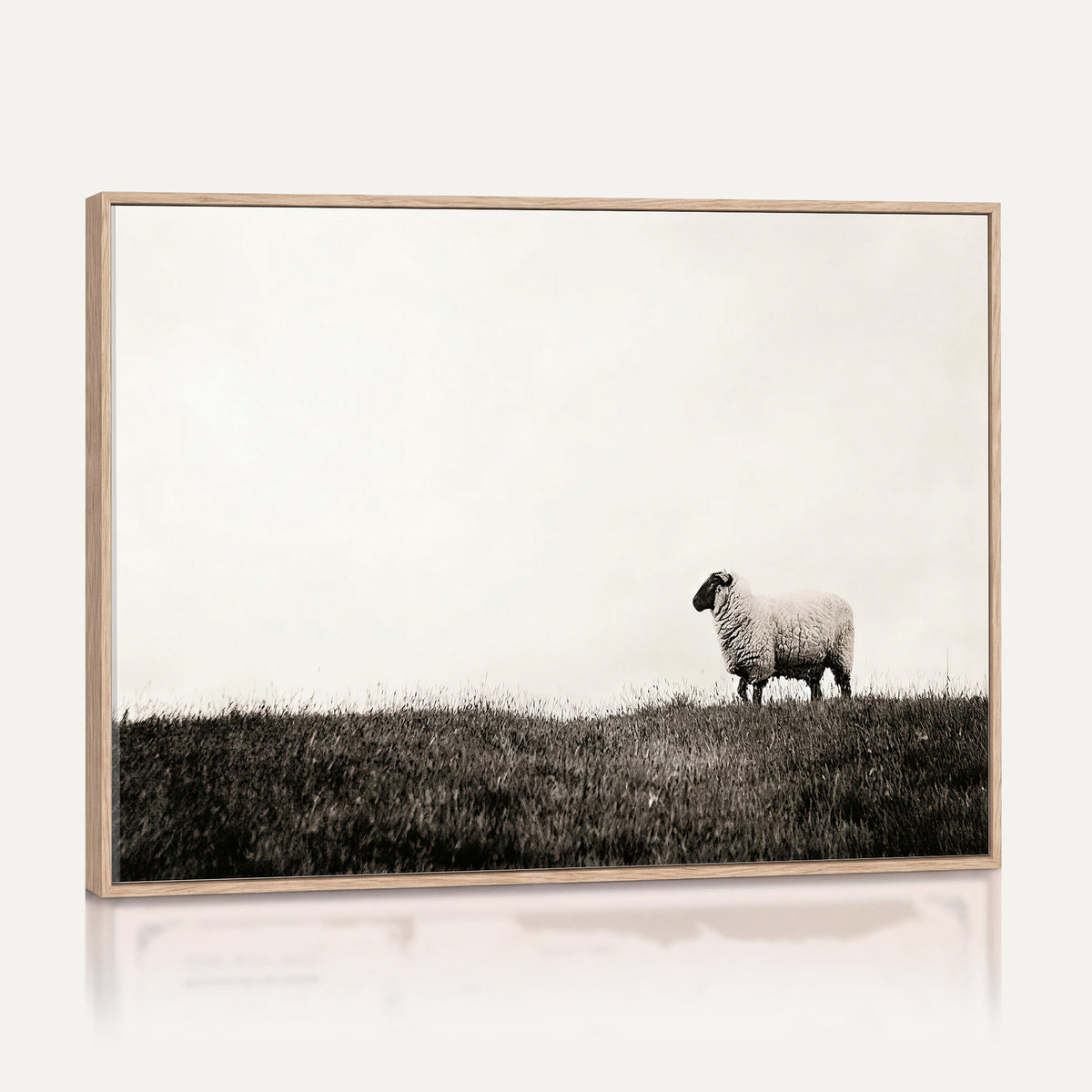 72749448-MGV-TP-30X20 - Minimalist Sepia Sheep Canvas Wall Art - Rustic Farmhouse Country Landscape Print