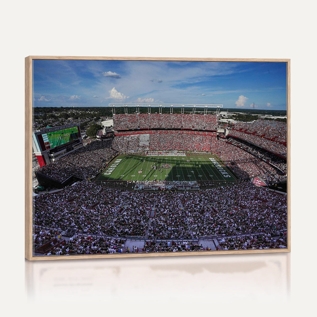 83382-MGV-CV-36X24 - South Carolina Gamecocks Football Team Print, Columbia Williams-Brice Stadium Wall Art