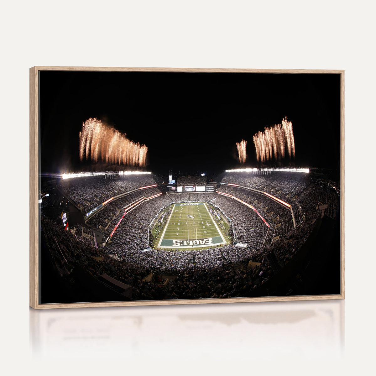 48893-MGV-CV-36X24 - Eagles Field Stadium Wall Art, Lincoln Financial Field
