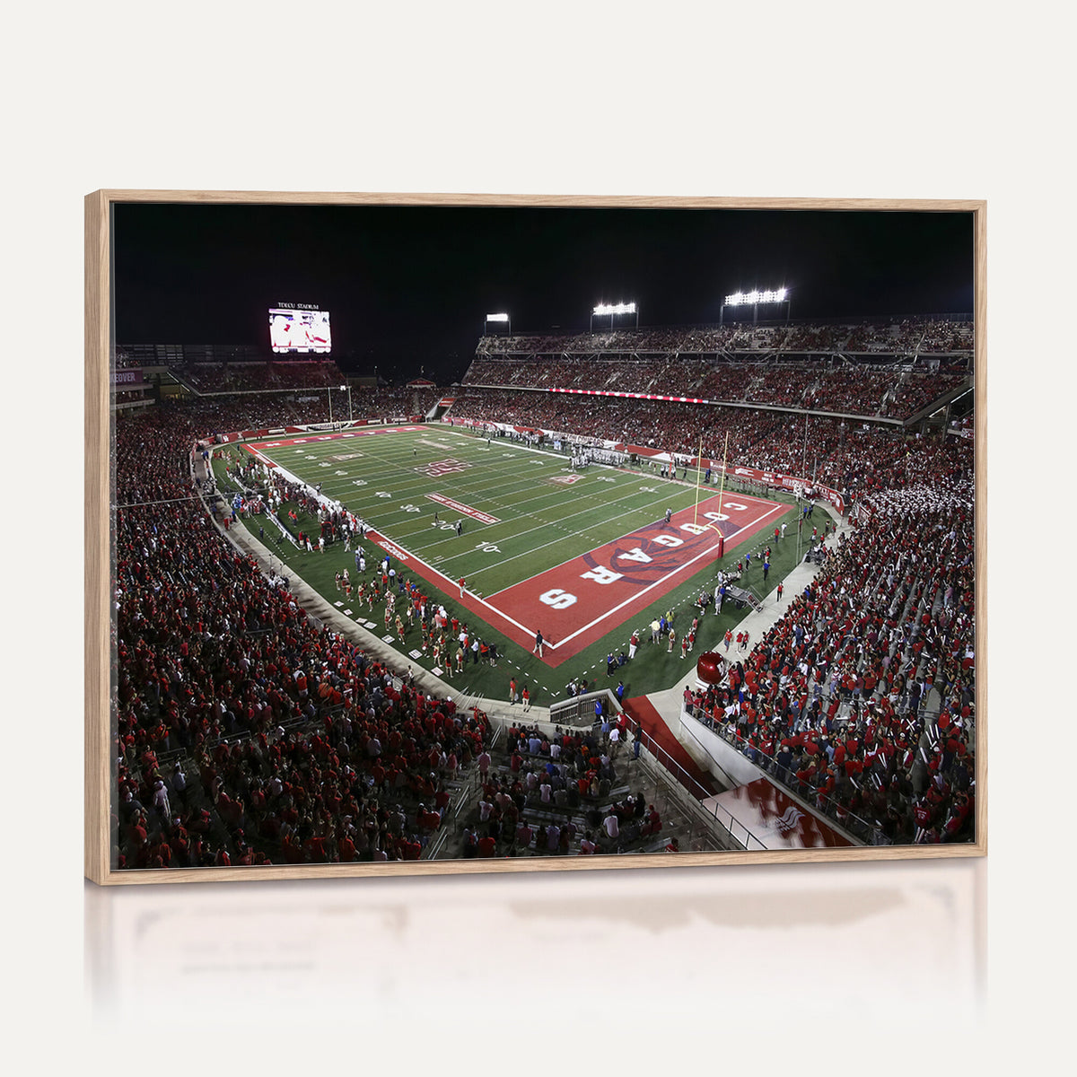 94207-MGV-CV-36X24 - Houston Cougars Football Team Print - Houston TDECU Stadium Wall Art Canvas Print