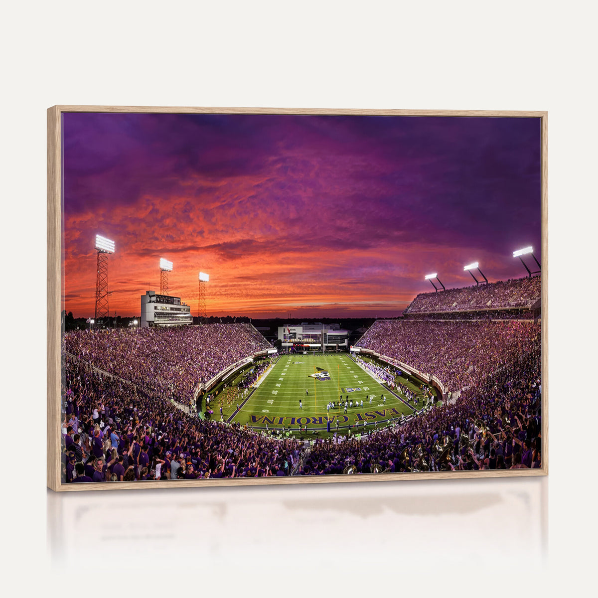 88575-MGV-CV-36X24 - East Carolina University Pirates Football Print Canvas- Greenville Dowdy-Ficklen Stadium Wall Art