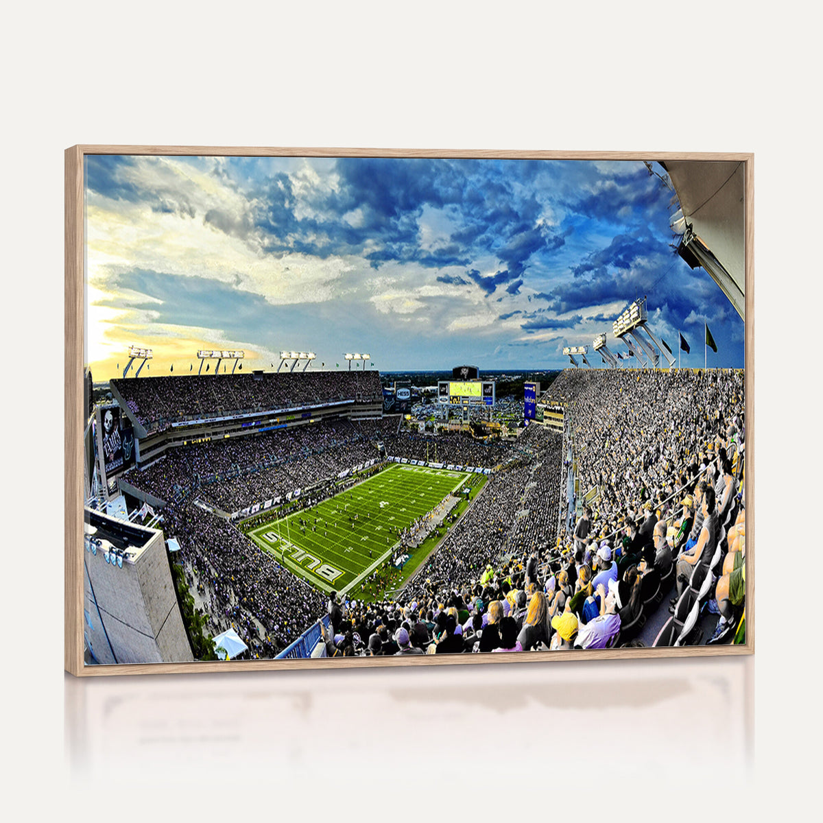 23788-MGV-CV-36X24 - Framed USF Bulls Football Team Print - Tampa Raymond James Stadium Wall Art Canvas Print