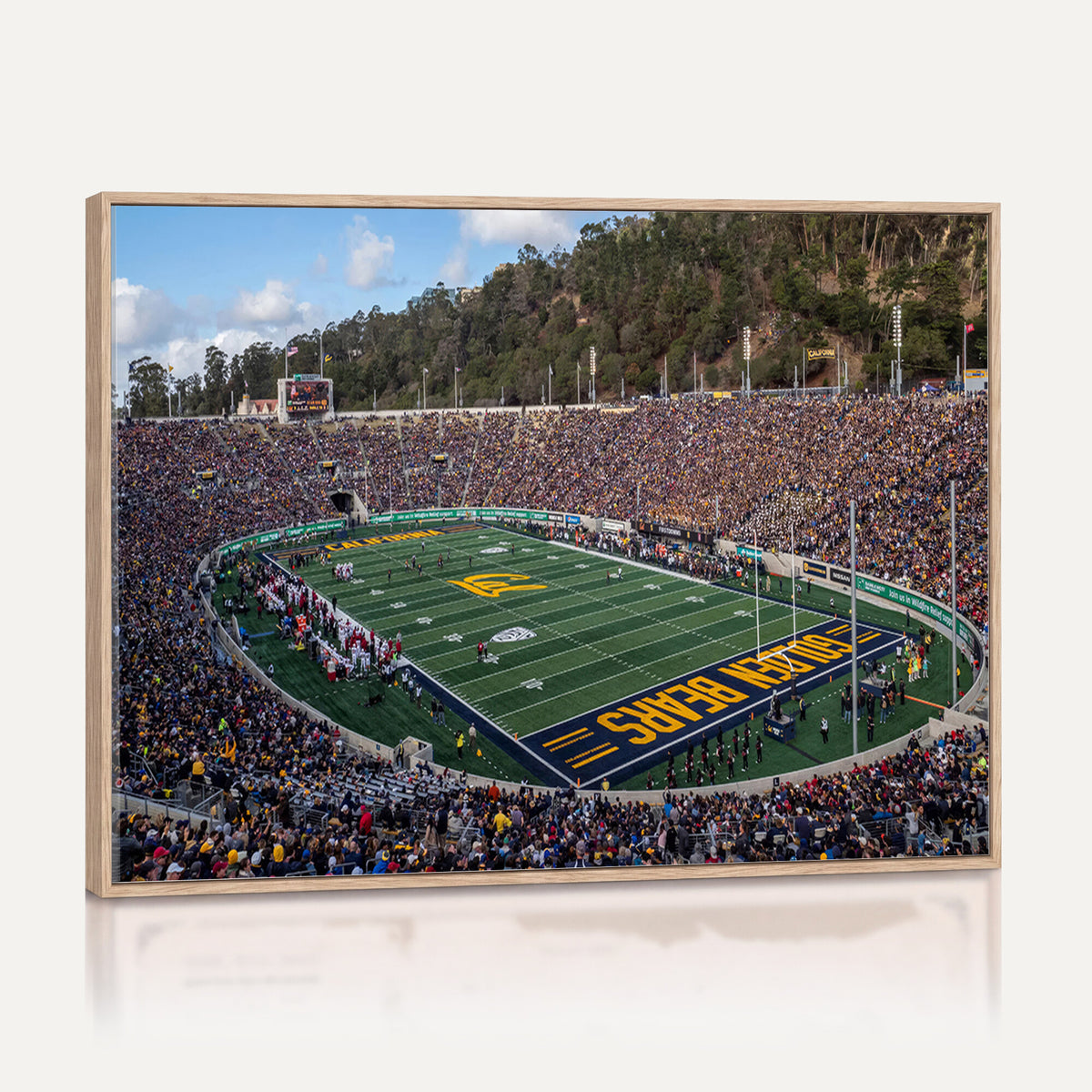38054-MGV-CV-36X24 - University of California Golden Bears Football Team Print - Berkeley California Memorial Stadium Art