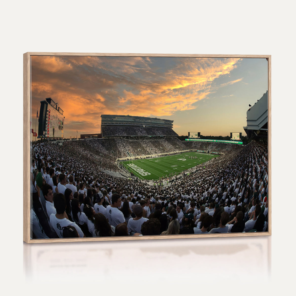 99155-PAN-FL-20X10 - Michigan State Spartans Football Team Print - East Lansing Spartan Stadium Wall Art Canvas Print