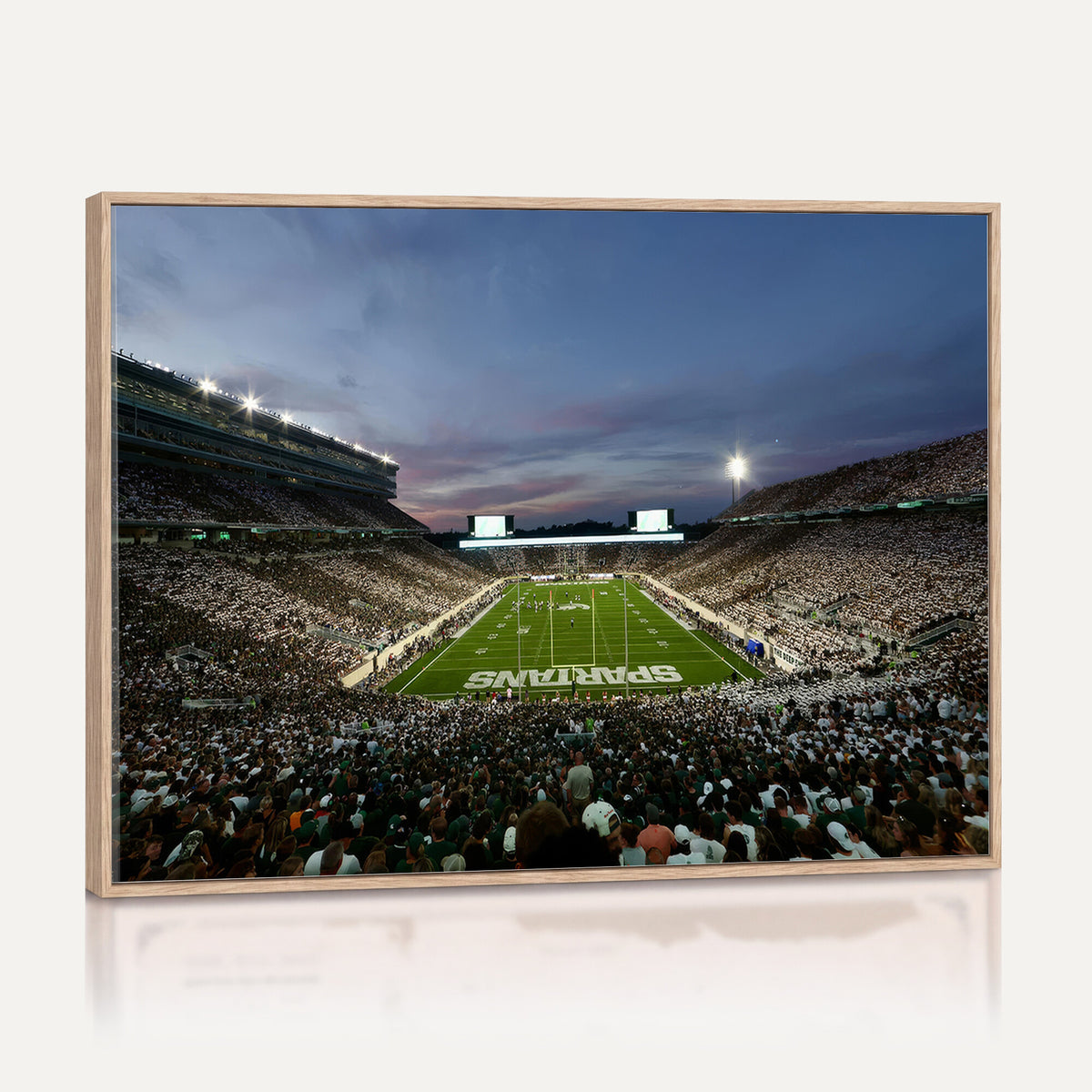 90831-PAN-FL-20X10 - Michigan State Spartans Football Team Print - East Lansing Spartan Stadium Canvas Print