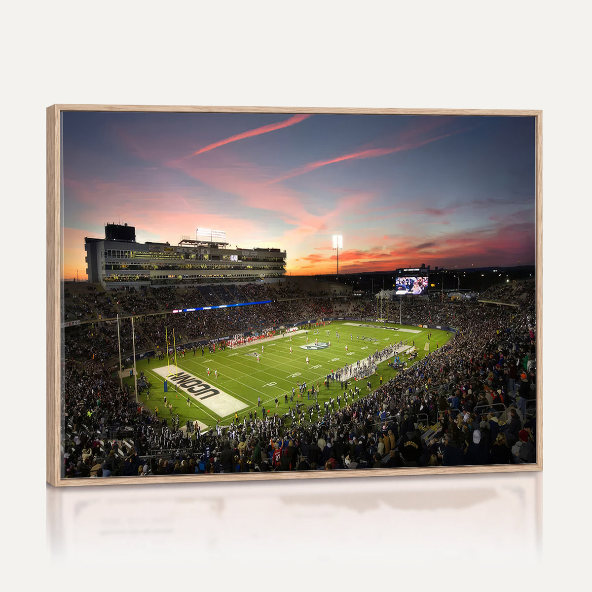 64416-MGV-CV-36X24 - The University of Connecticut UCONN Huskies Football Team Print, Framed and Ready to Hang