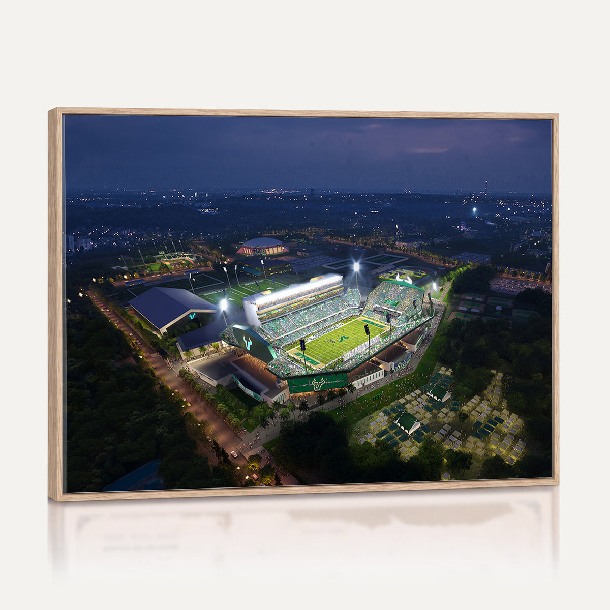 27554-MGV-CV-36X24 - The University of South Florida Bulls Football Team Print
