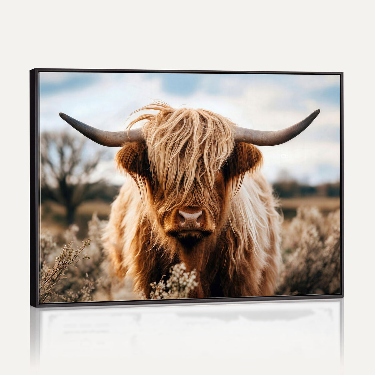 55903-_Poster-30x20 - Scottish Cow Longhorn Wall Art Canvas Print