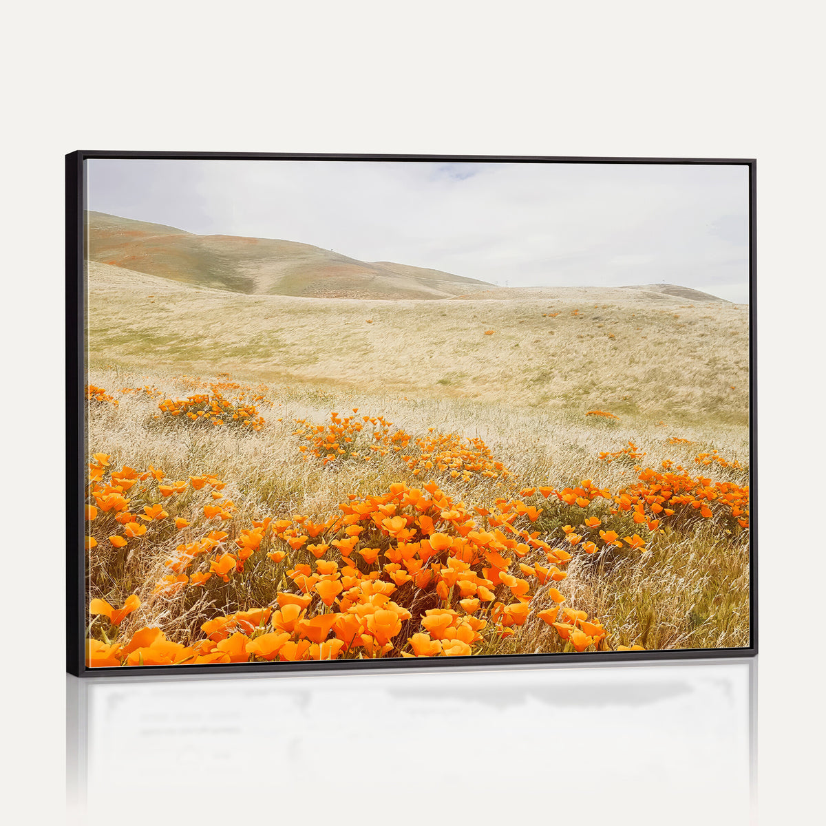 28972262-_Poster-30x20 - Golden Wildflowers Wall Art Canvas Print, Framed Hills and Poppy Meadow Scene