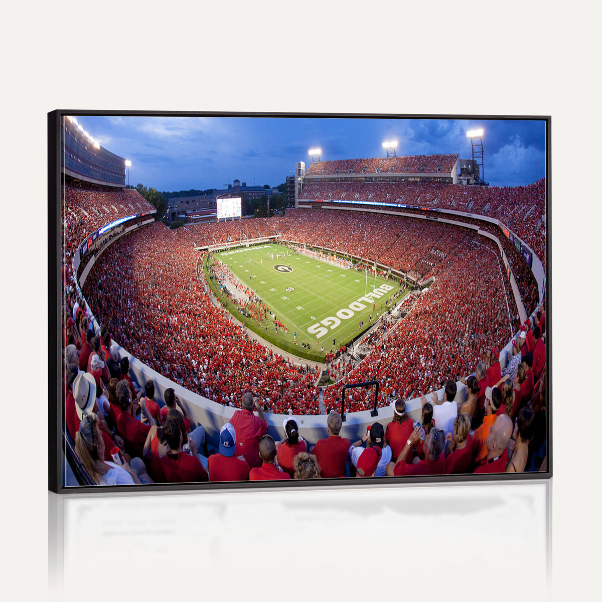 10244378-MGV-CV-36X24 - Dooley Stadium Wall Art, Sports Arena Canvas Print, Dooley Field, Home Bar Wall Decor