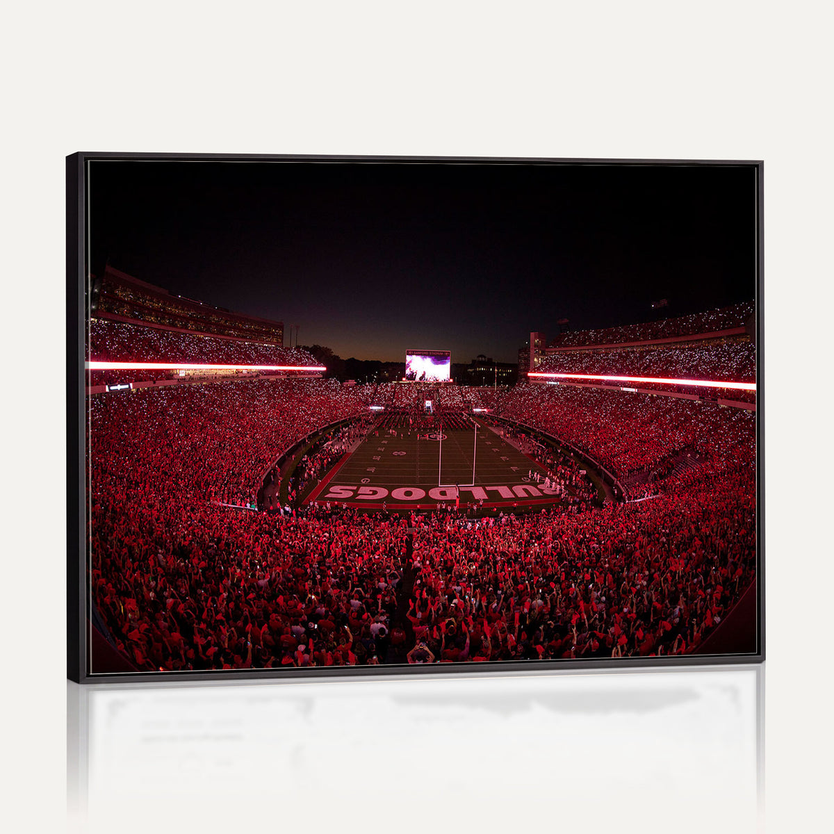38331045-MGV-CV-36X24 - Dooley Stadium Wall Art, Sports Arena Canvas Print, Dooley Field Sanford Stadium
