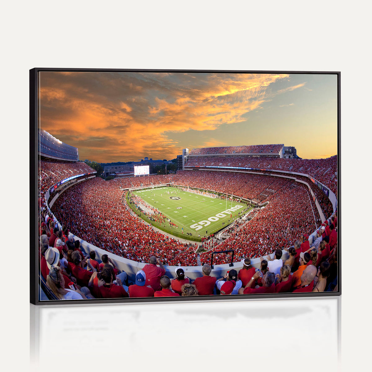 73680988-MGV-CV-36X24 - Dooley Stadium Wall Art, Sports Arena Canvas Print, Dooley Field, Framed and Ready to Hang
