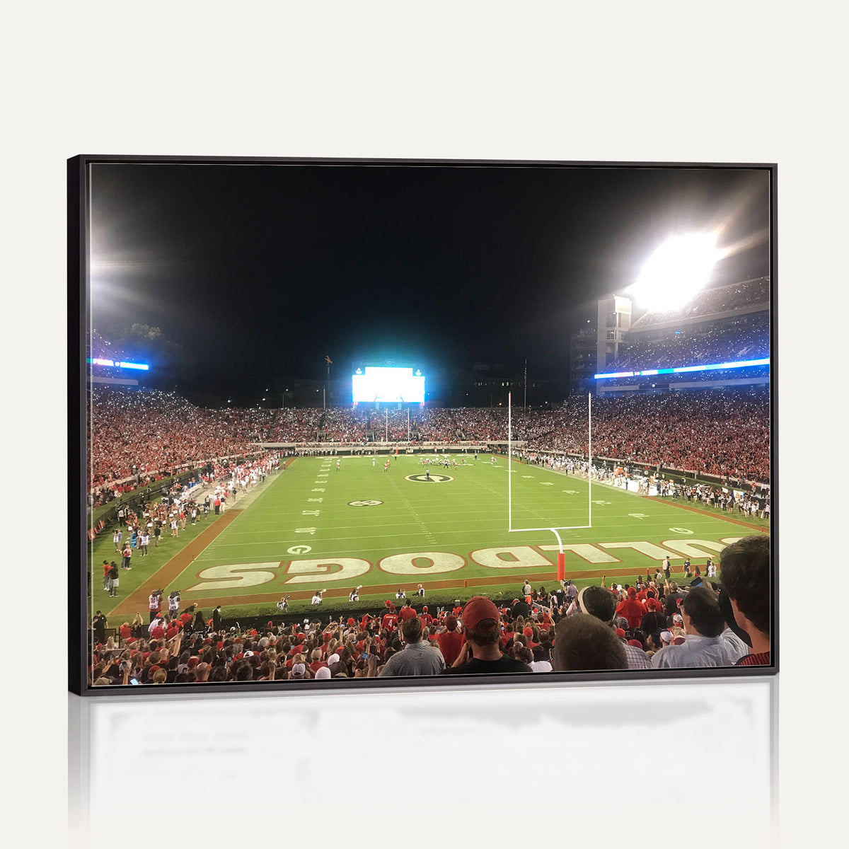 16230786-MGV-CV-36X24 - Dooley Stadium Wall Art, Sports Arena Panoramic Canvas Print, Modern Stadium Landscape Artwork for Home, Office
