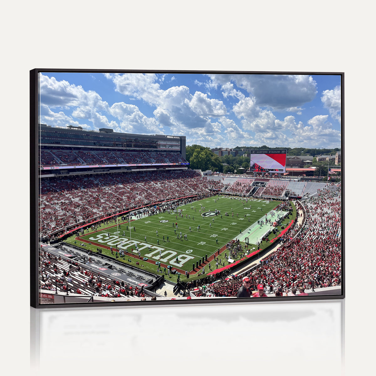 10665453-MGV-CV-36X24 - Georgia Bulldogs Stadium Wall Art Canvas Print, Sanford, Framed and Ready to Hang