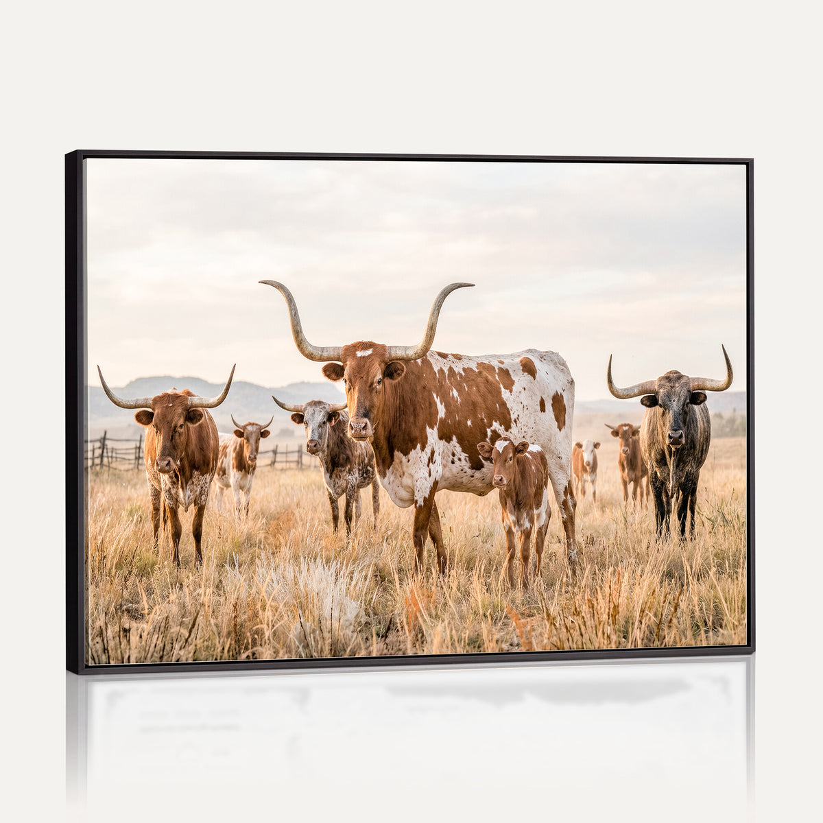 62336425AC-MGV-CV-36X24 - Texas Longhorn Canvas Wall Art, Rustic Farm Animal Photography Print, Farmhouse Country Decor, Western Ranch Art