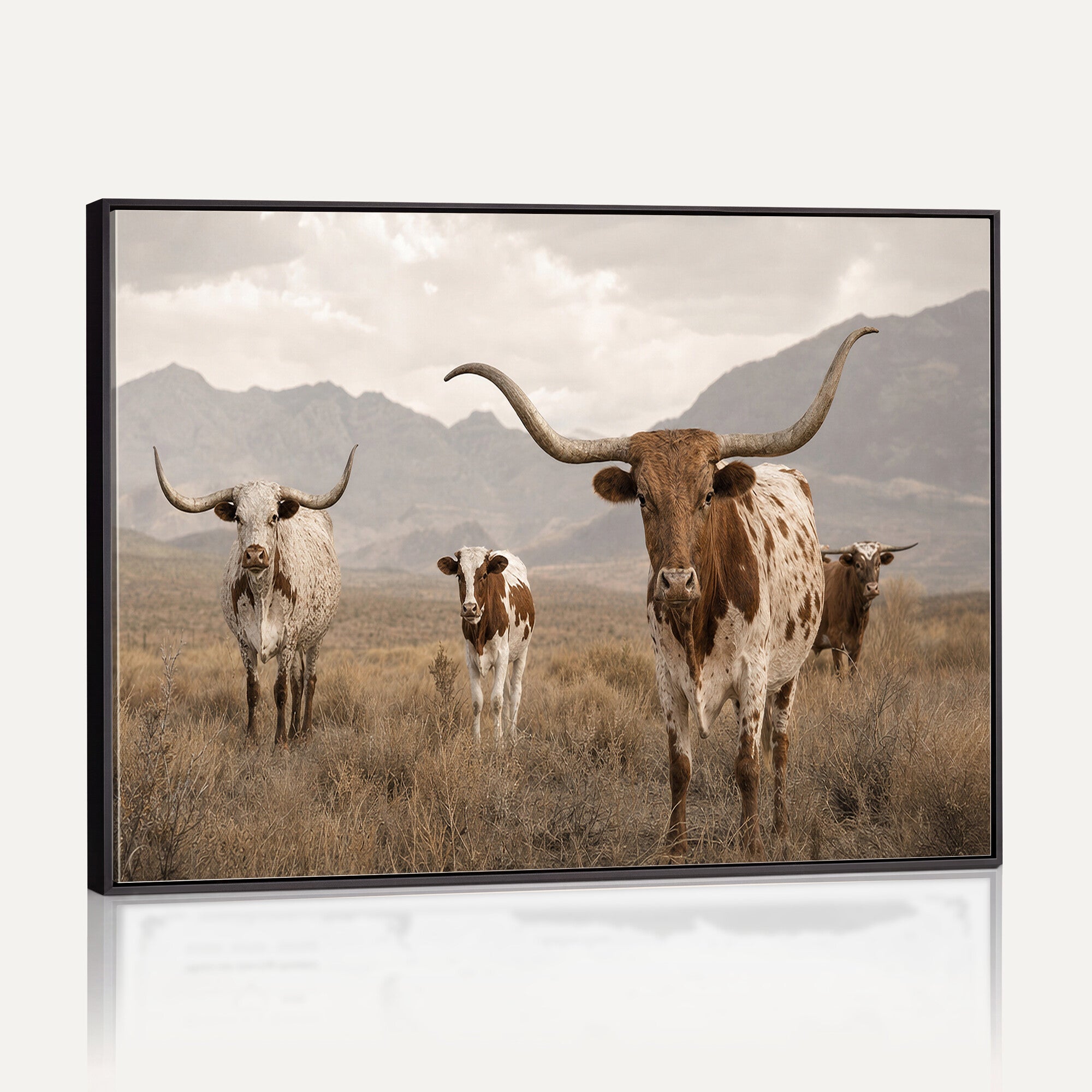 62336425AD-MGV-CV-36X24 - Rustic Texas Longhorn Cow Canvas Wall Art Print, Rustic Farm Animal Photography Print, Farmhouse Country Decor, Western Ranch Art