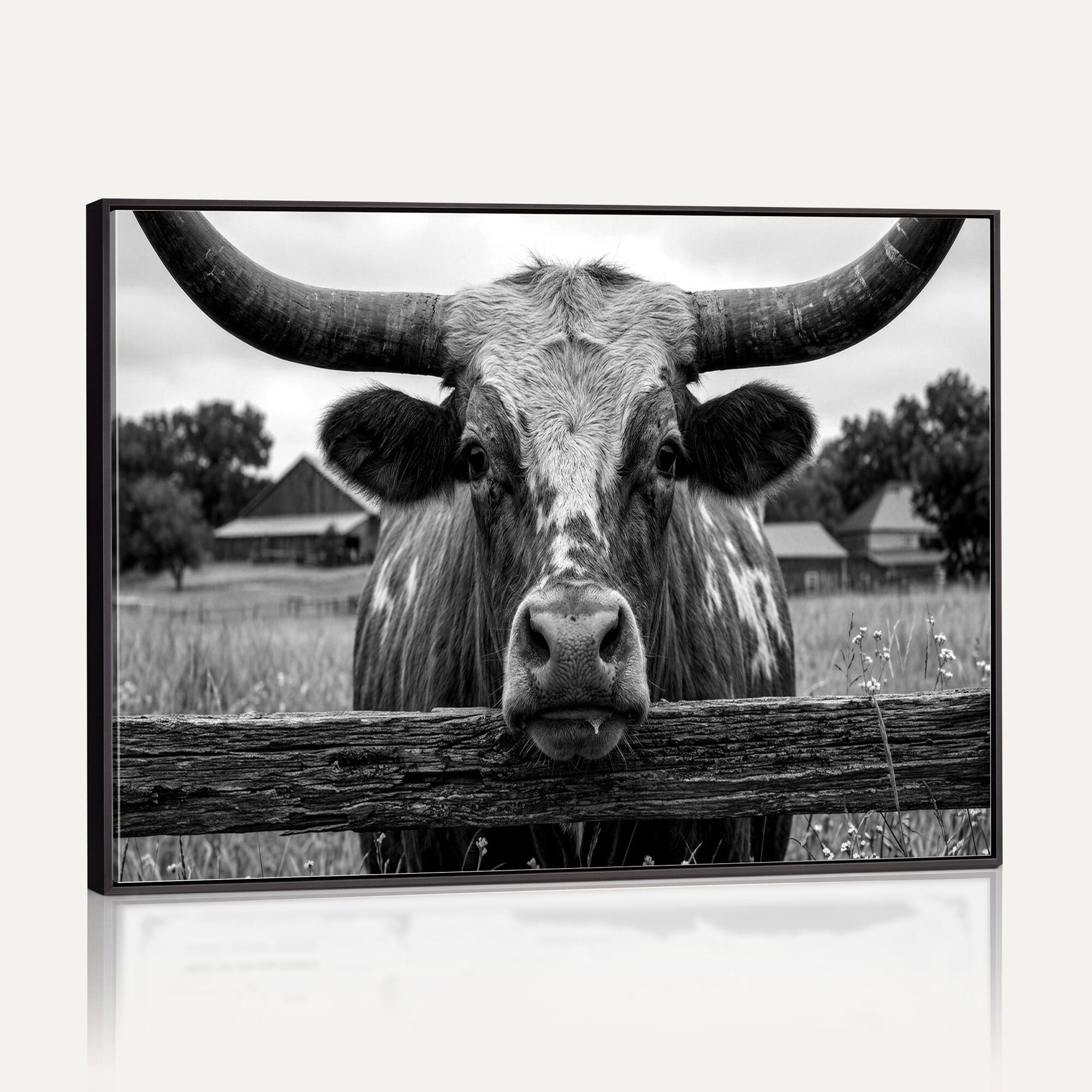 59378683B-MGV-CV-36X24 - Black White Texas Longhorn Bull Canvas Wall Art, Western Ranch Cattle Photography Print, Rustic Farmhouse Cowboy Decor Artwork